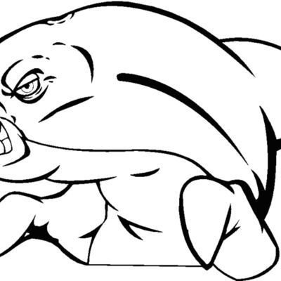 dolphin404 Thumbnail