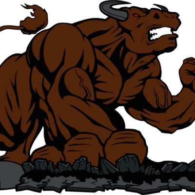 bull1 Thumbnail