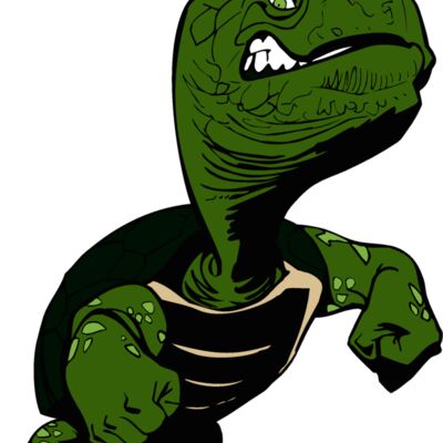 turttortse2 Thumbnail