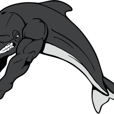 dolphinswm2 Thumbnail