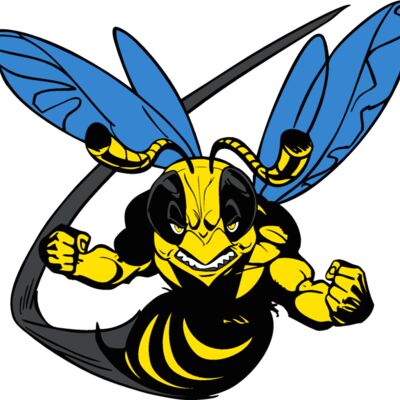 yellwjacket1 Thumbnail