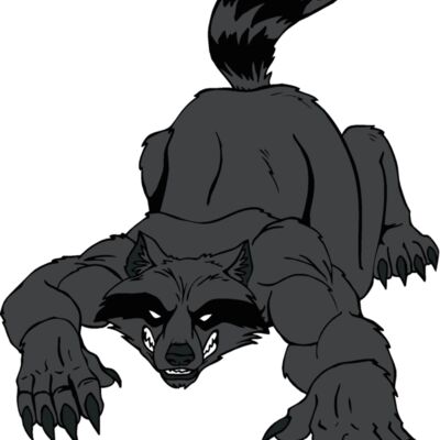 raccoon4 Thumbnail