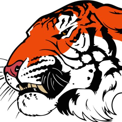 tiger08v4clr Thumbnail