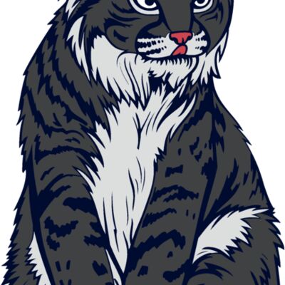 wildcat07v4clr Thumbnail