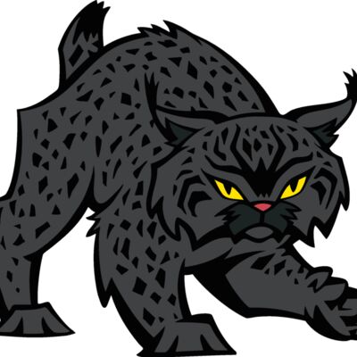 wildcat09v4clr Thumbnail