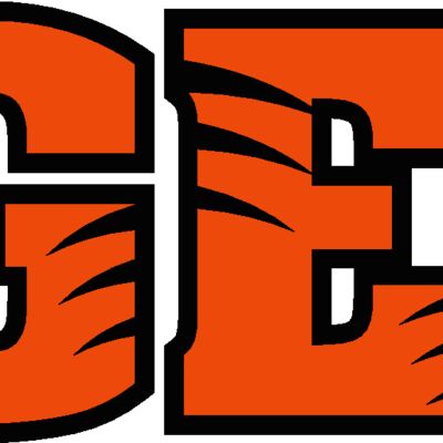 tigerlogo9v4clr Thumbnail