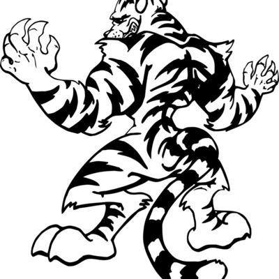 tigerbehind Thumbnail