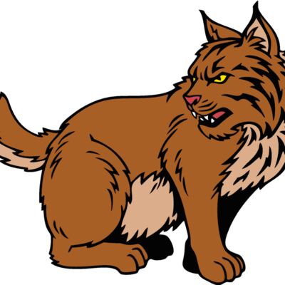 wildcatjk14 Thumbnail