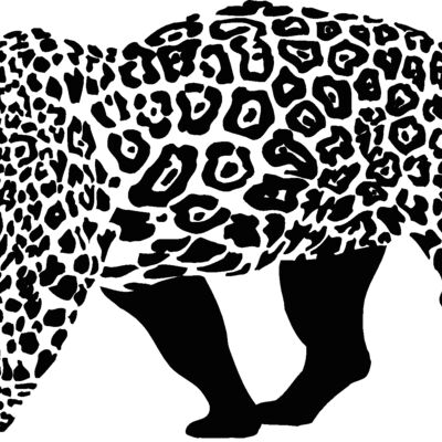 africaleopard1 Thumbnail