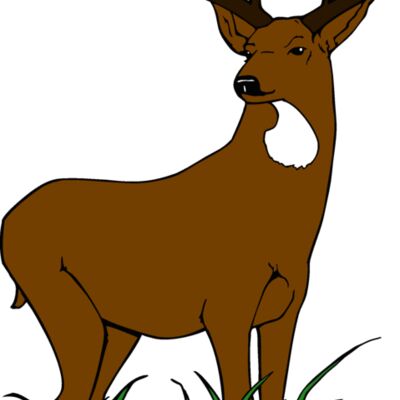 muledeer 2 Thumbnail
