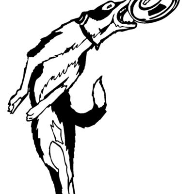 frisbeedog Thumbnail